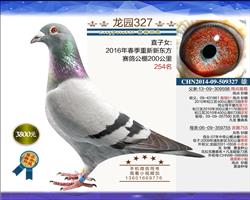 ԰327Աϲۣ