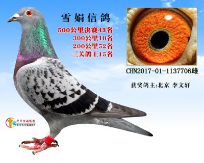 50043