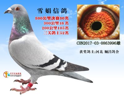 50030