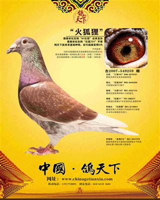 ղɭ������ꡱ