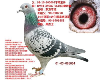 Ѫϵ(ʯԭ)