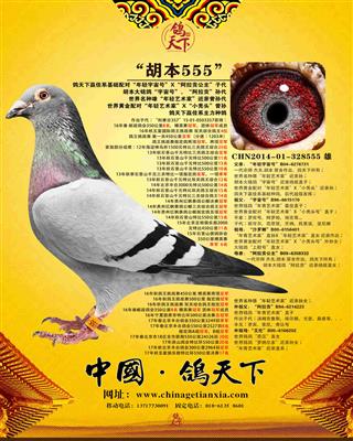 555