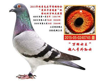 Ů