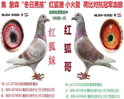 ղɭ豸