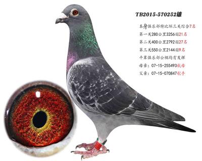 С