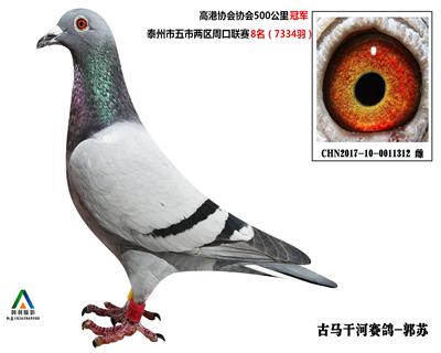 �ھ� ת�����гɼ���