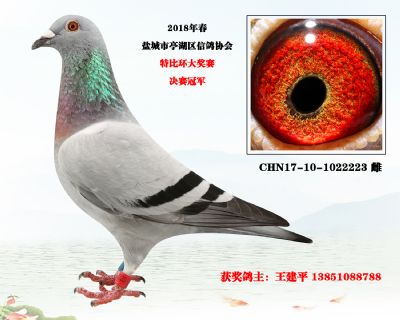 ھ