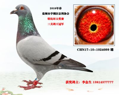 ظھ