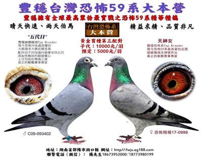 䌦