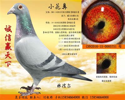 С