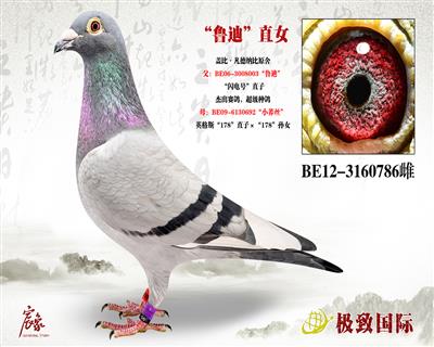 ³ϡֱŮ