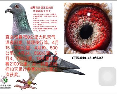 ֱŮ2156ҹ鳲75016