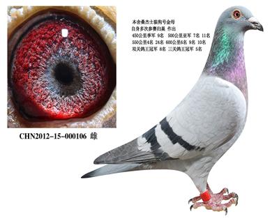 ǹŹѫĸ