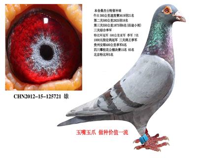 ɣʿ
