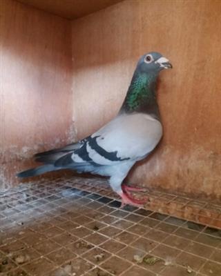 348