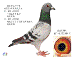 984