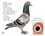 ̨230