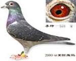 Ѫ---576
