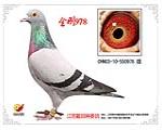 978