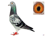Ǿ879