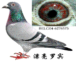 峬ִơƯޱ