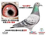  Ѫ