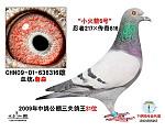 С6š
