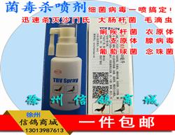 ÷ķҩɱ30ml/ѵżȾ/÷ķɱ
