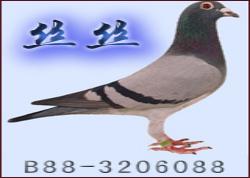 һС˿˿(ͼ)