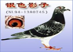 ǿշϵɫӰ