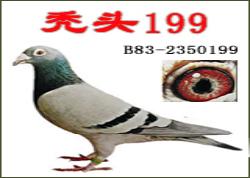 룺ͺͷ199(ͼ)