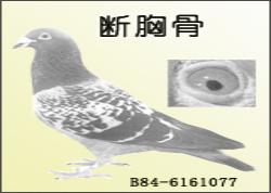 عǵ