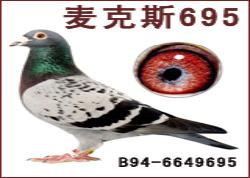 ˹695