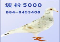 5000