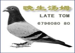 ������ķ������