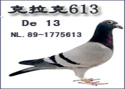 ʿ613ʮ