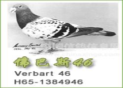 ˹46(ͼ)