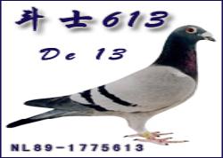 ����һ����ʦ�����˴������������롰��ʿ613��