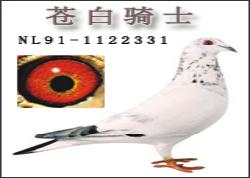 ���԰���ʿ���Ի�һ��