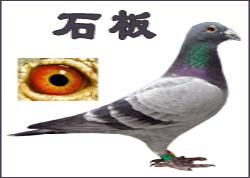 ʯ