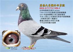 ղɭֵĴ롰к