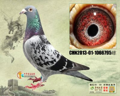 ղɭ019  500＾ƽ